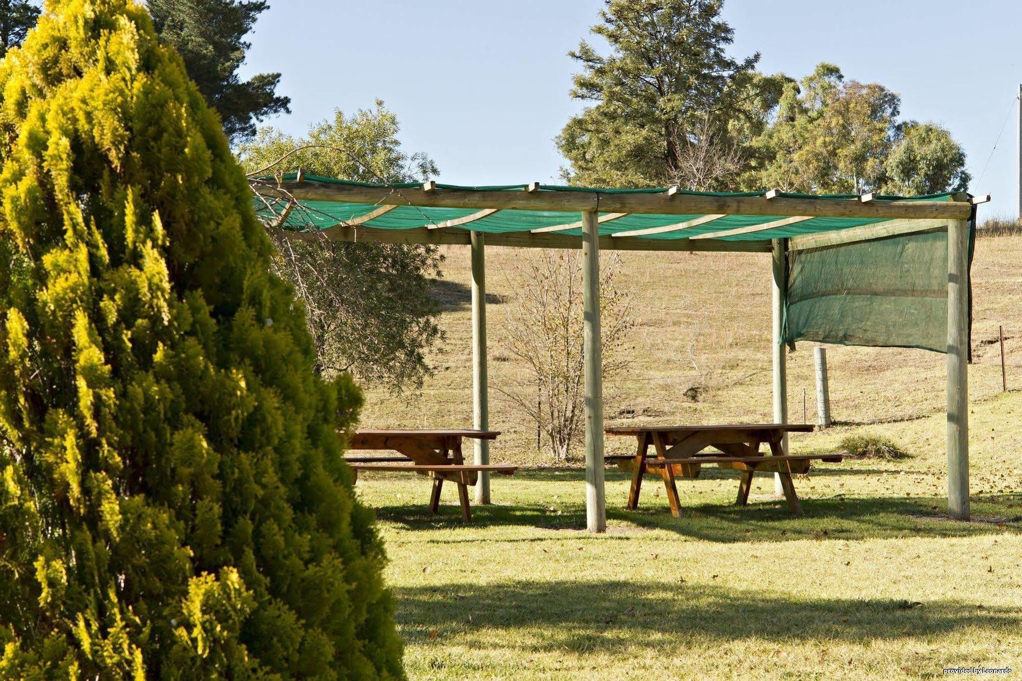 Hilltops Retreat Motor Inn Young Restaurant foto